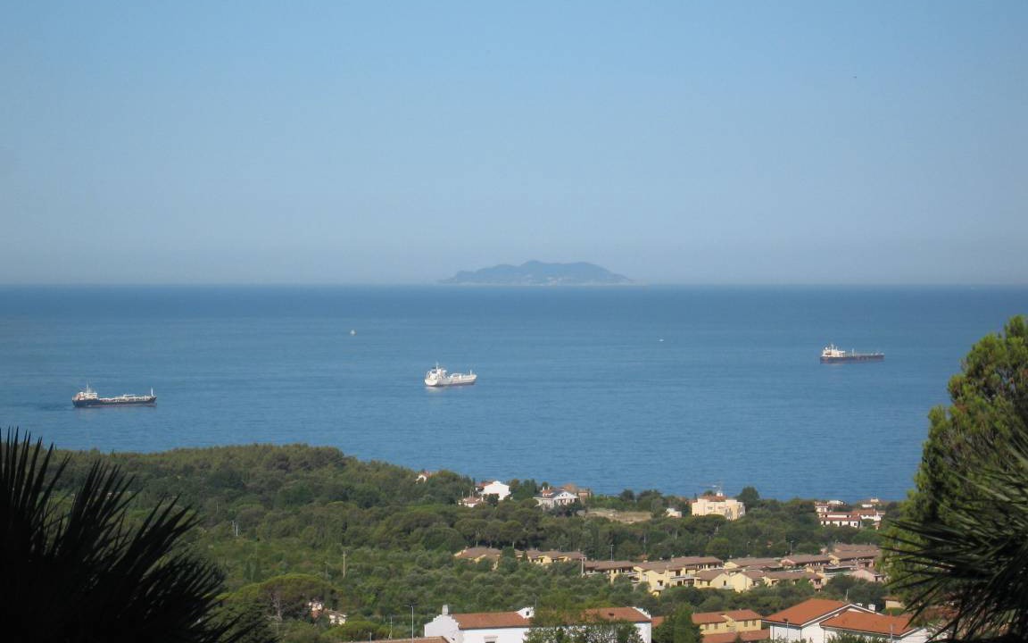 Photo of Others in Livorno