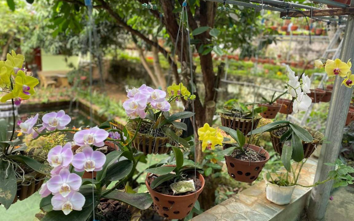 Photo of Others in Buon Ma Thuot