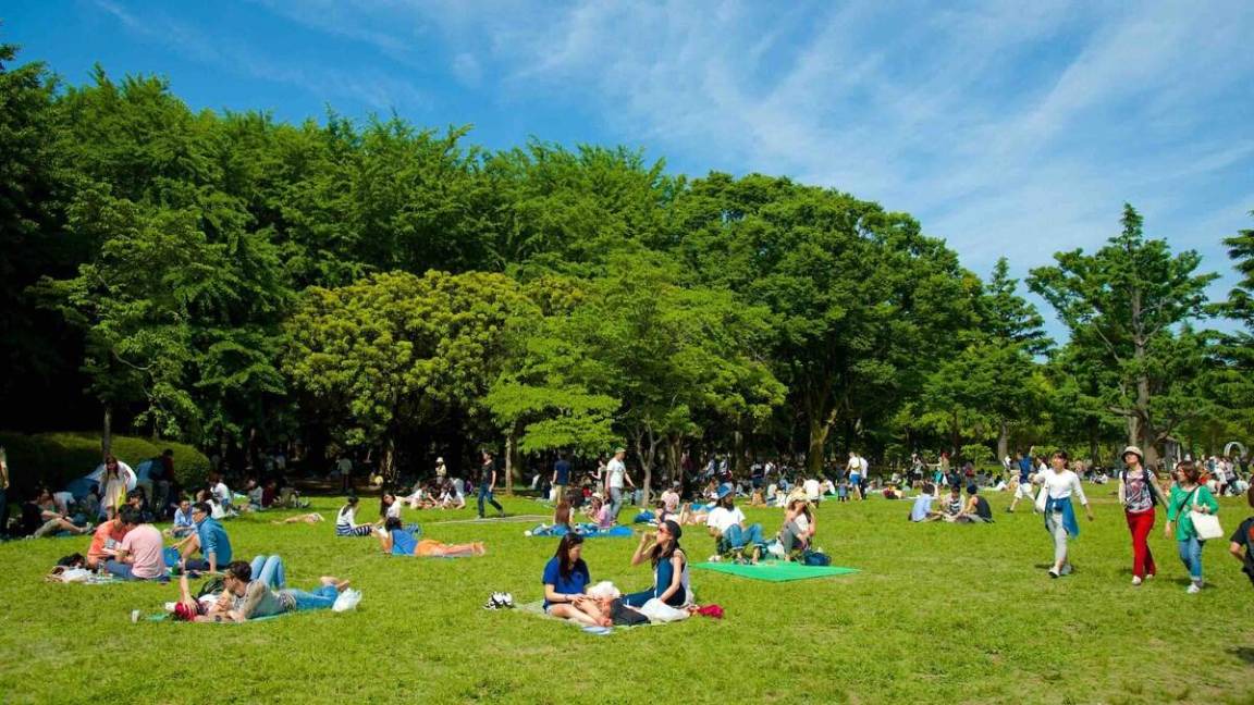 Photo of Others in Tomigaya