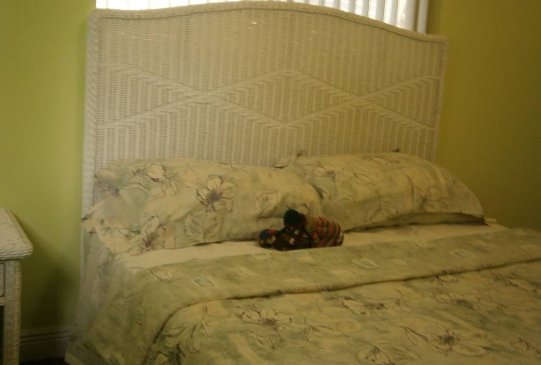Photo of Others in Nassau