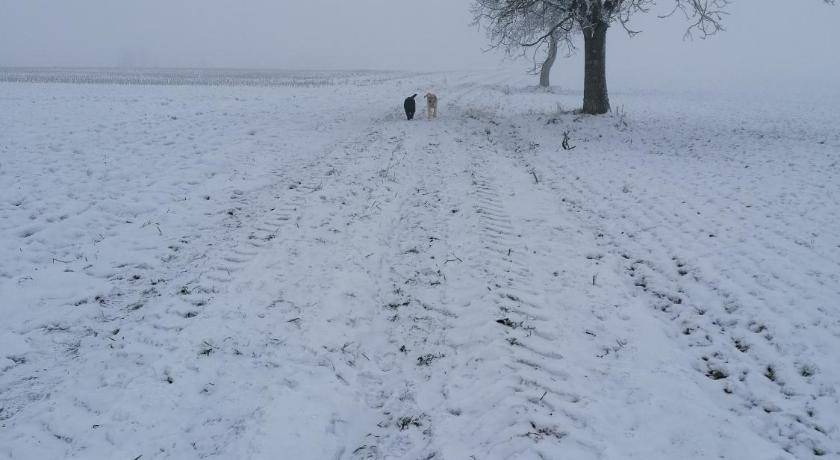 Photo of Others in Magstatt-le-Bas