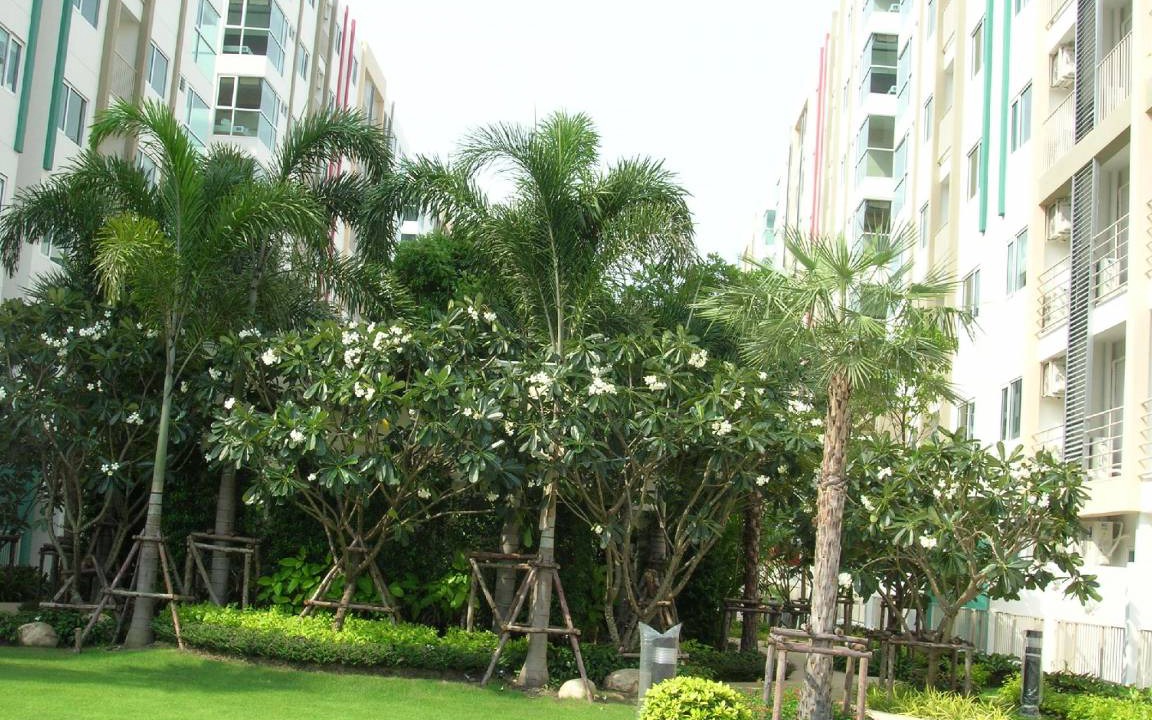 Photo of Others in Bang Wa