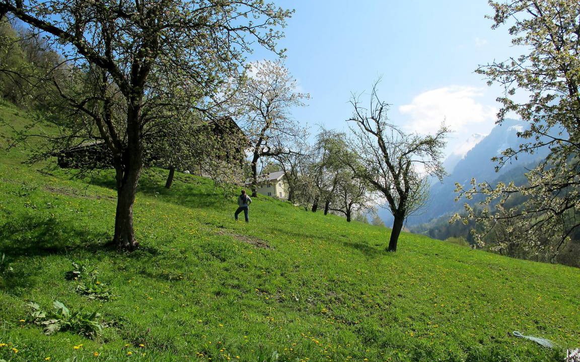 Photo of Others in Goldegg