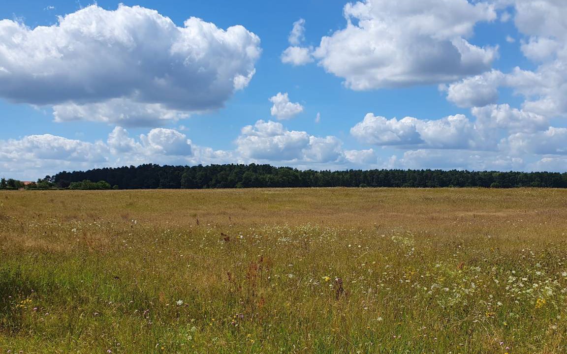 Photo of Others in Gandenitz