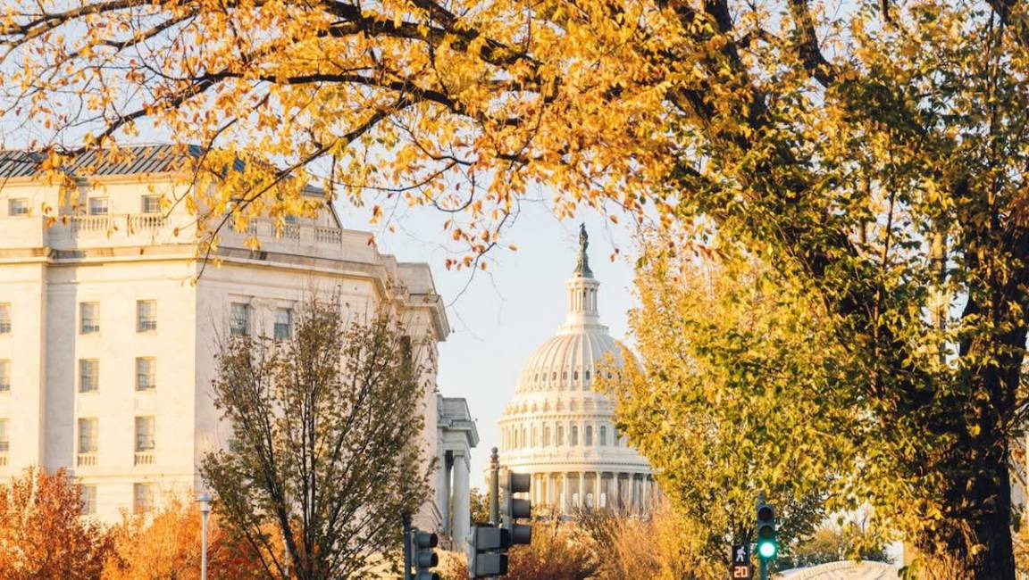 Photo of Others in Capitol Hill