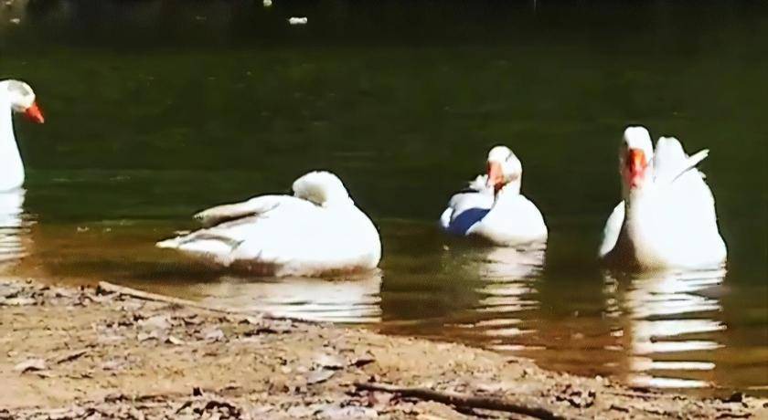 Photo of Others in Sao Joao Novo