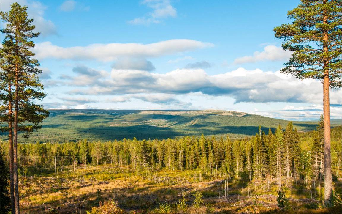 Photo of Others in Trysil