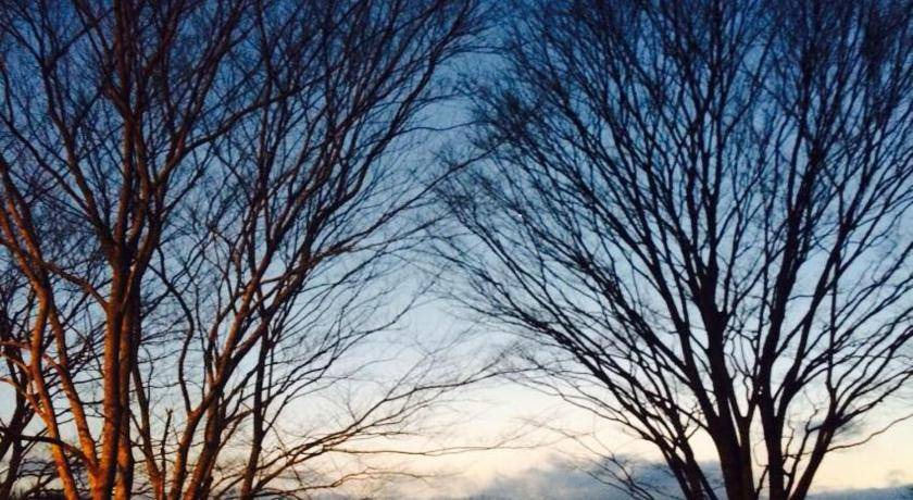 Photo of Others in Kanoya