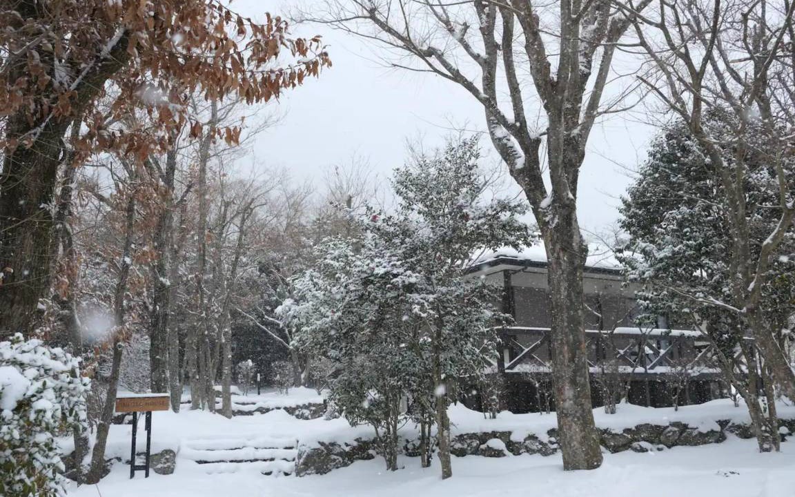 Photo of Others in Yufuin Onsen