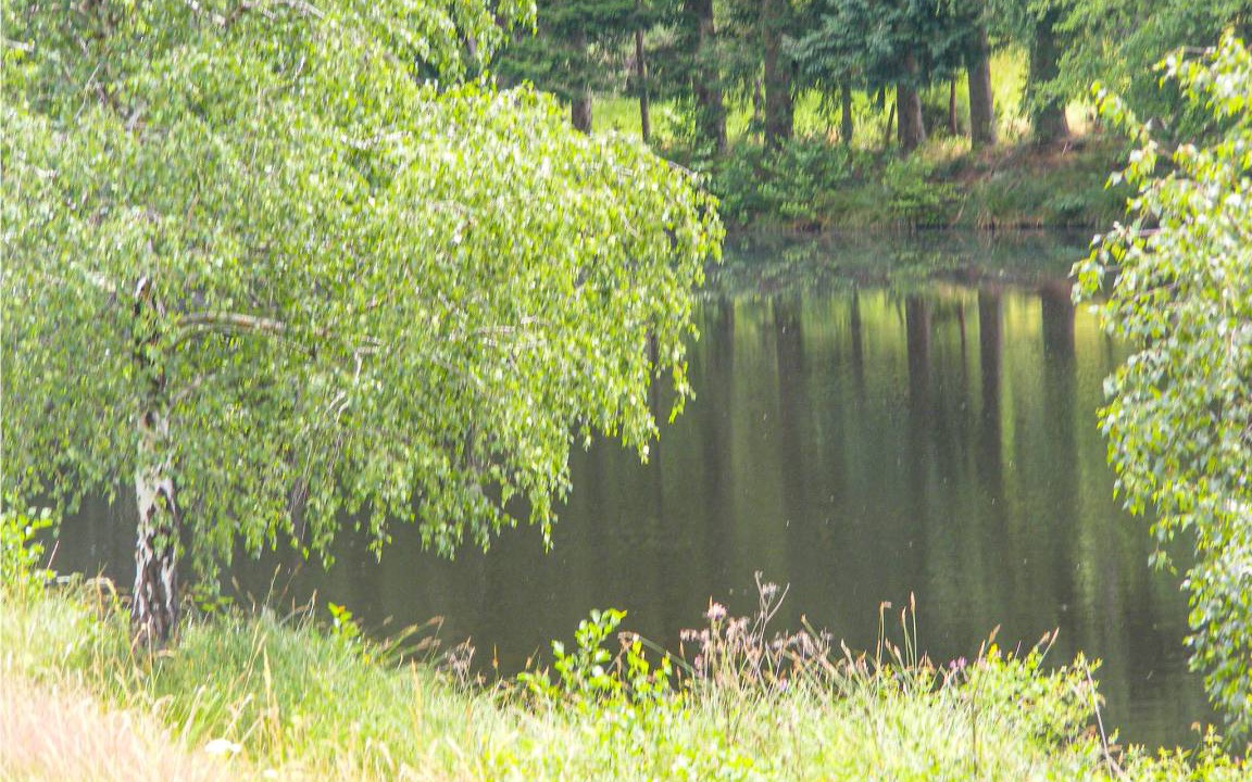 Photo of Others in Saint-Hilaire-les-Places