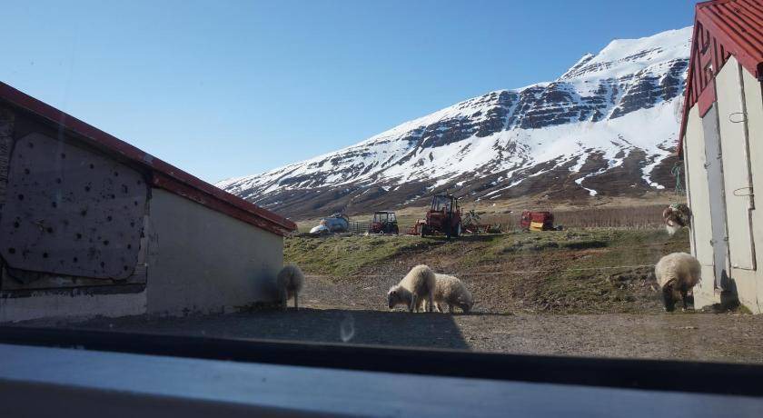 Photo of Others in Neskaupstadur