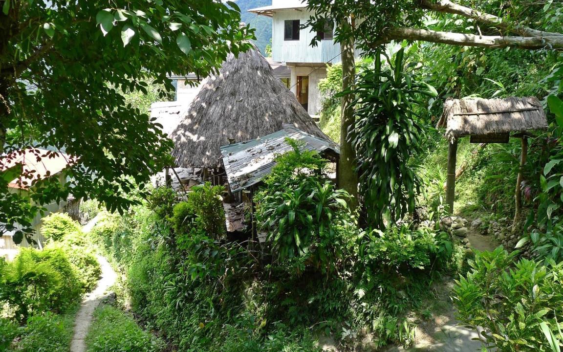 Photo of Others in Batad