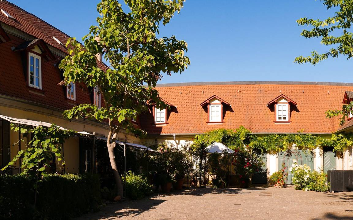 Photo of Buildings in Freinsheim