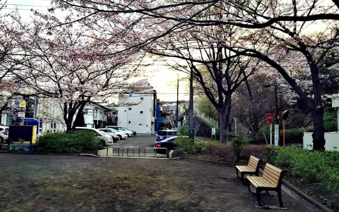 Photo of Others in Shin-Yokohama