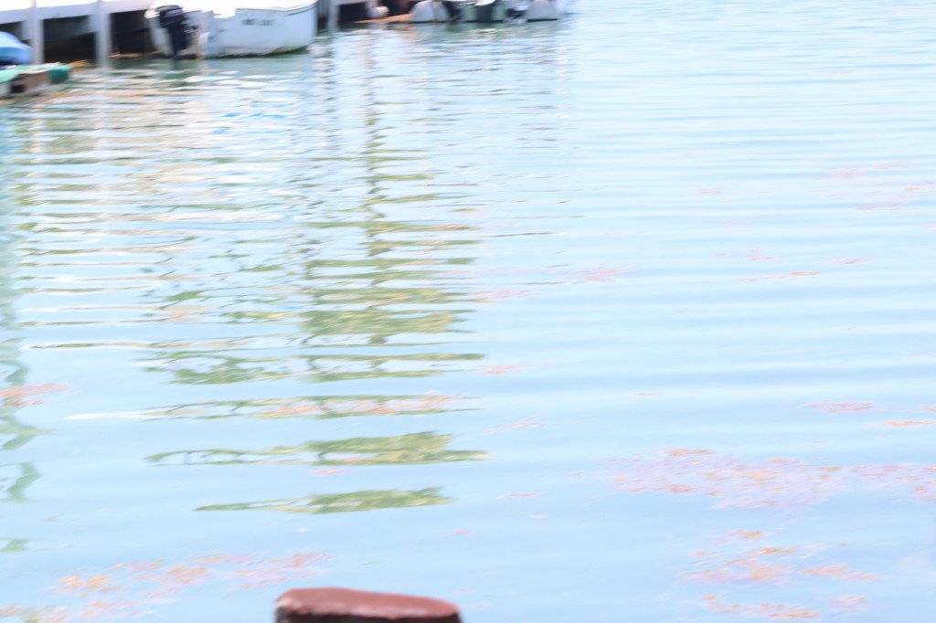 Photo of Others in Little Venice