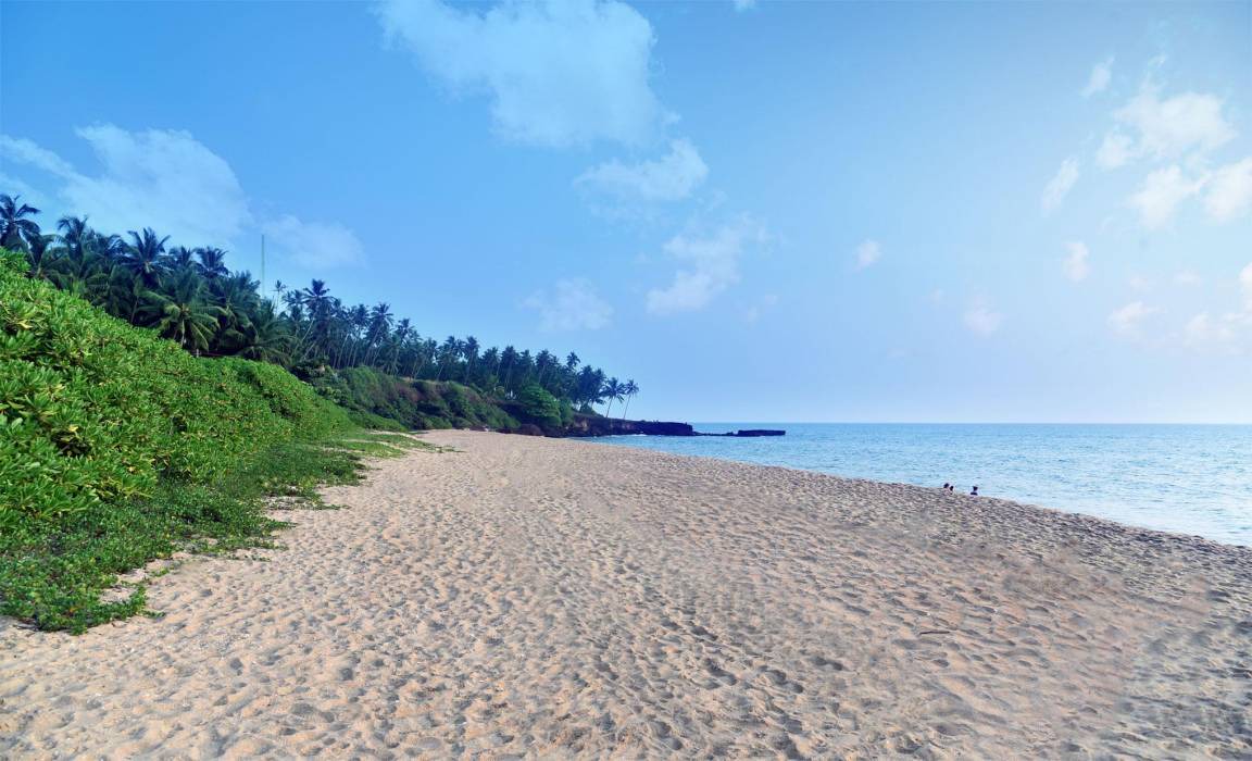Photo of Others in Kannur