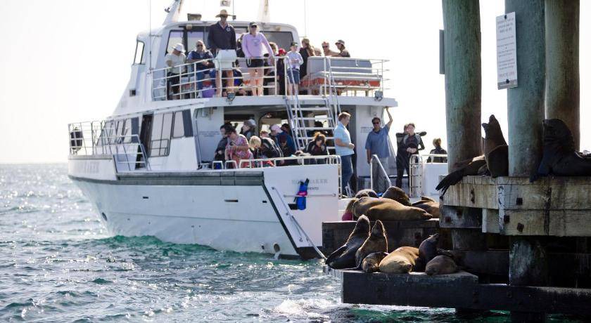 Photo of Others in Portsea