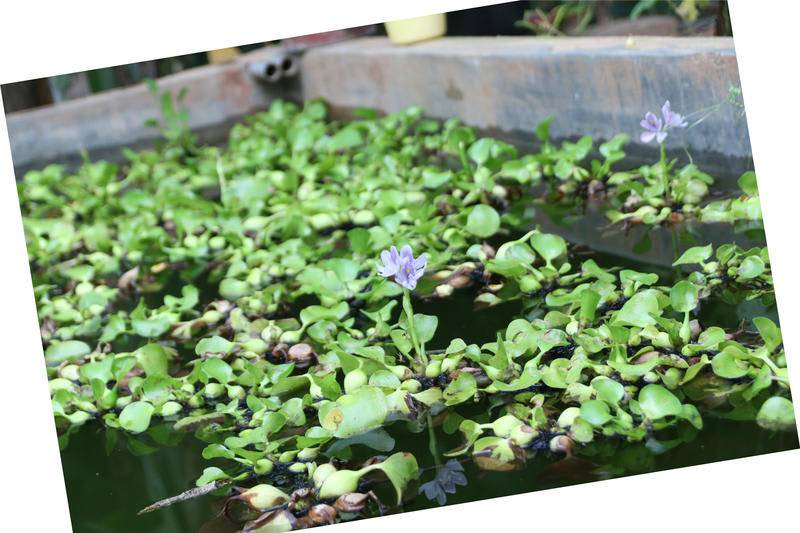 Photo of Others in Huong Thuy