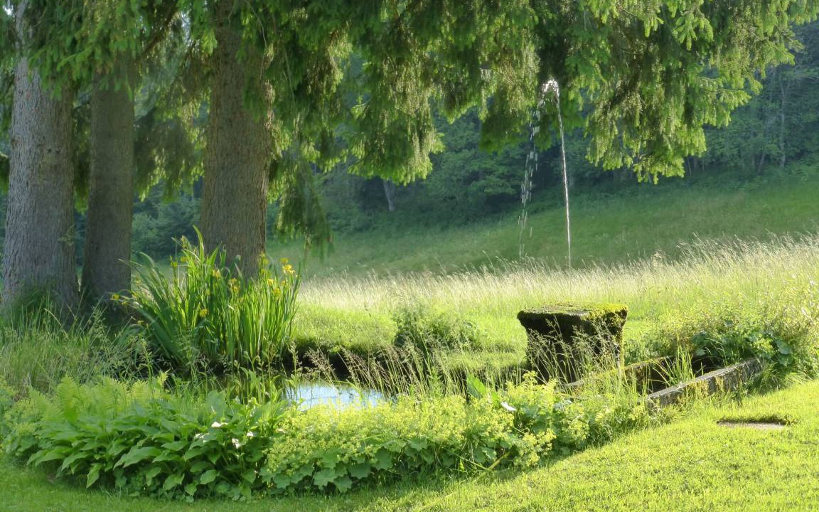 Photo of Others in Bonndorf