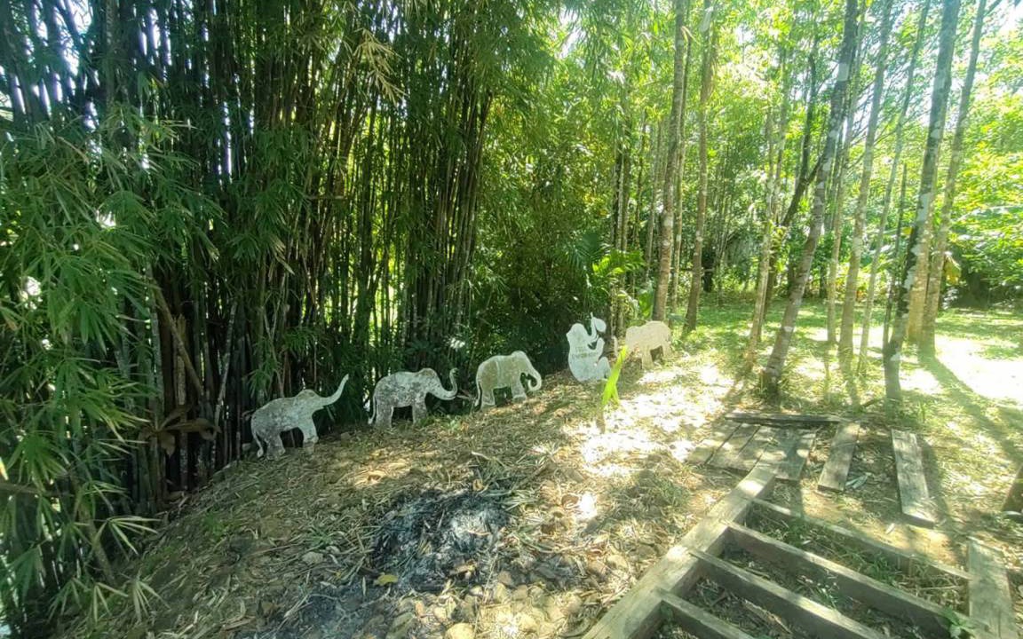 Photo of Others in Koh Chang Tai