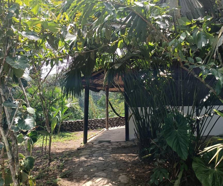 Photo of Others in Puerto Misahualli