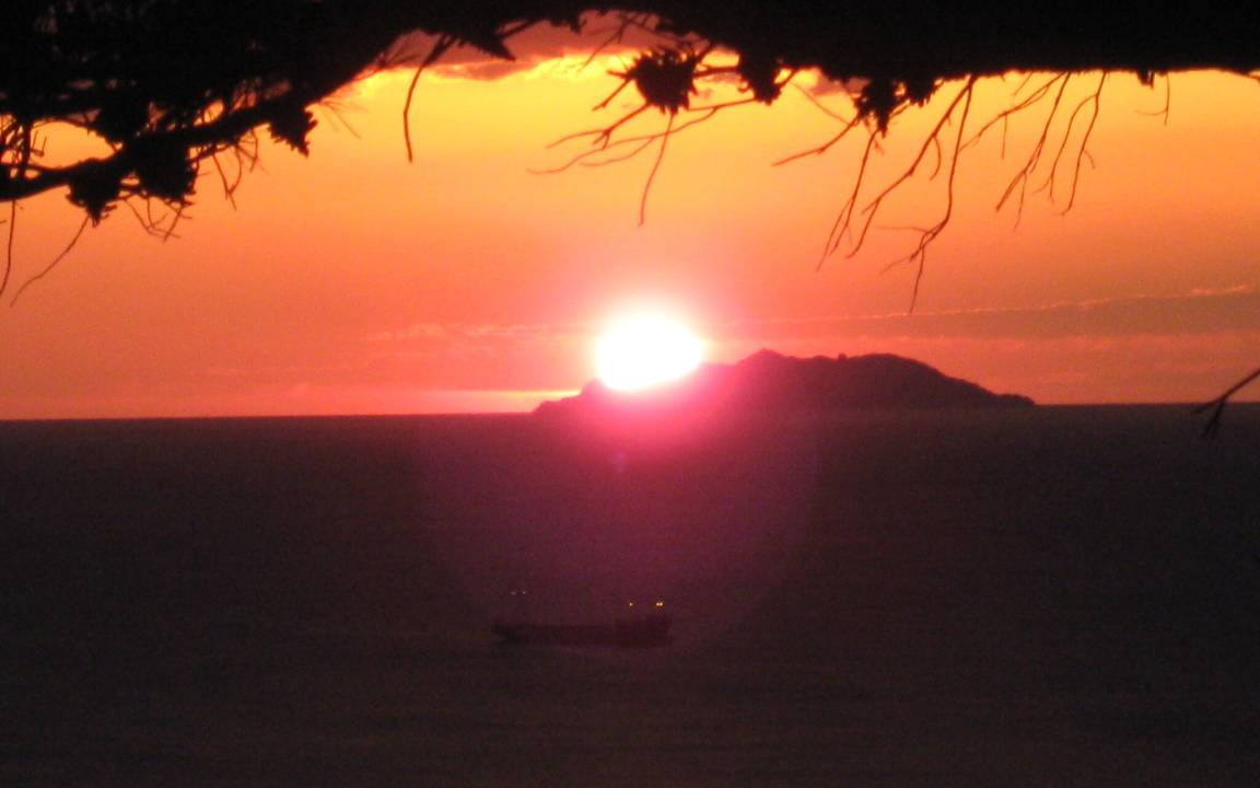 Photo of Others in Livorno