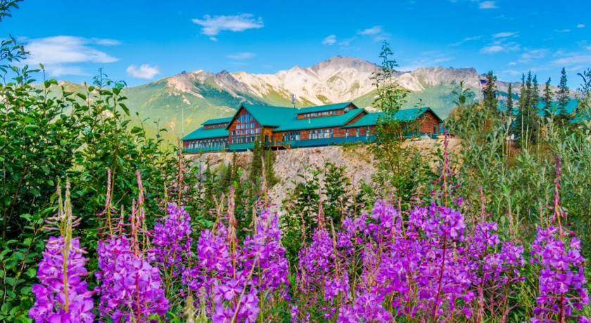 Photo of Others in Denali National Park