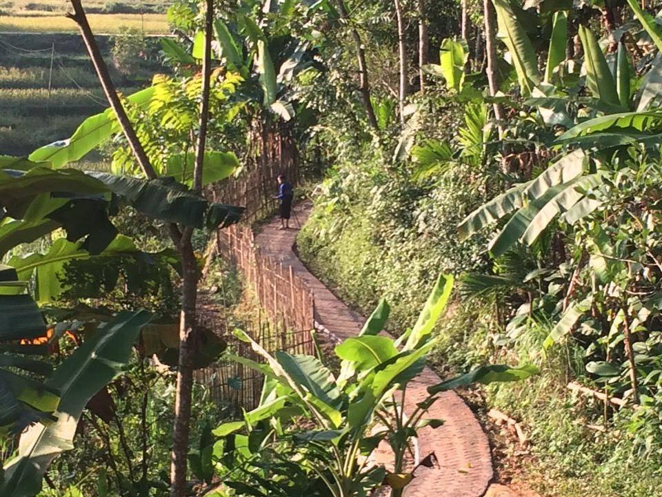 Photo of Others in Kho Muong