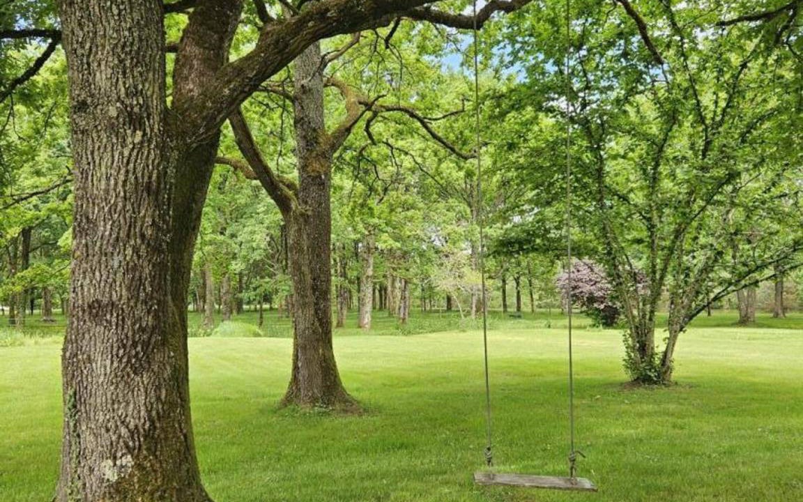Photo of Outdoor in Contres