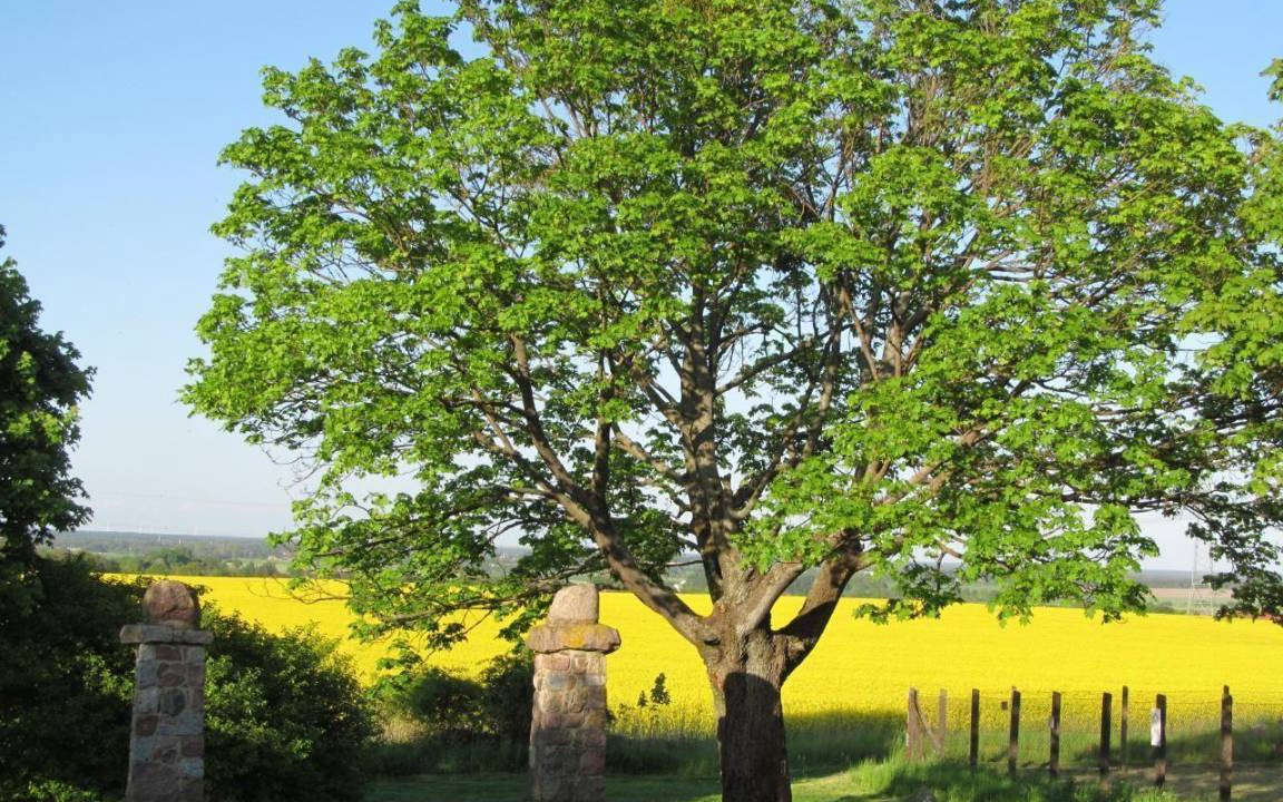 Photo of Others in Oberhavel