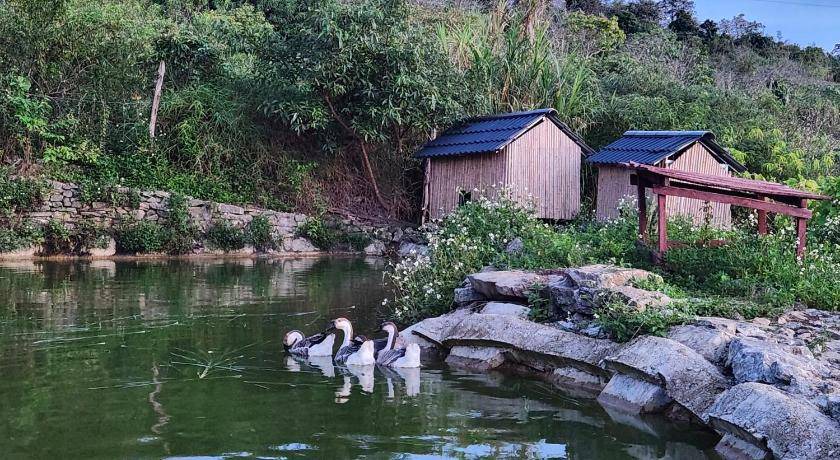 Photo of Others in Moc Chau