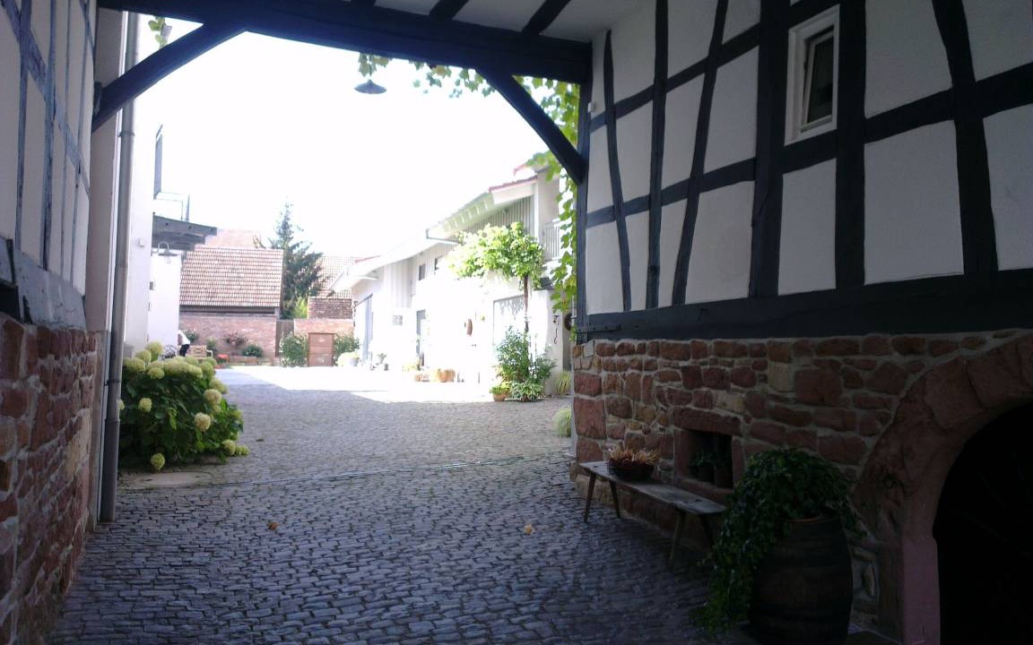 Photo of Others in Steinweiler