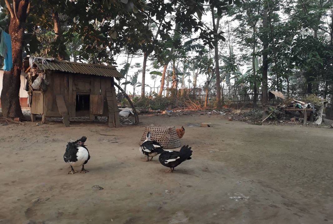 Photo of Others in Namarjung
