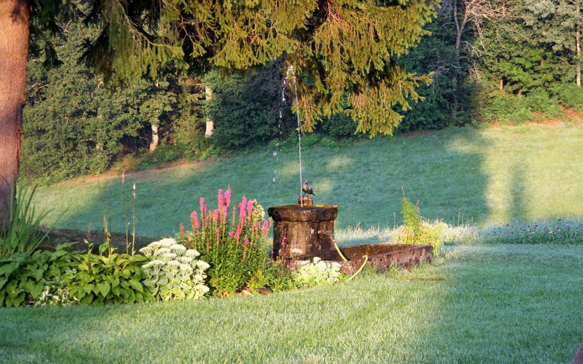 Photo of Others in Bonndorf