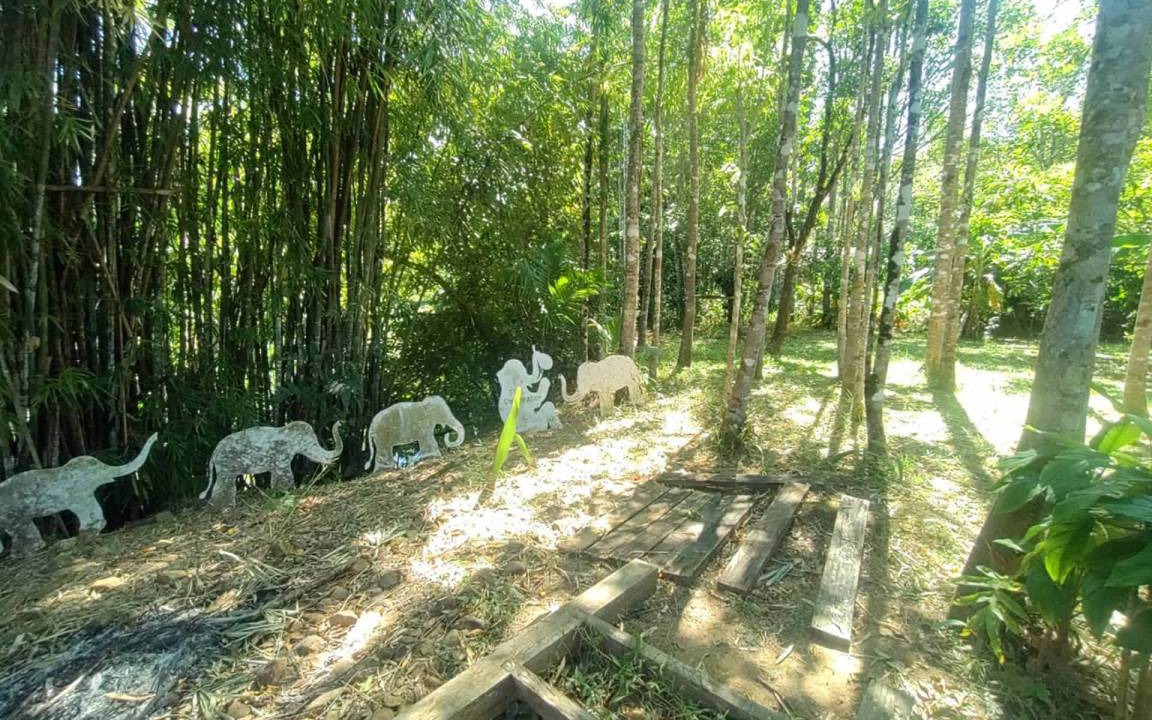 Photo of Others in Koh Chang Tai