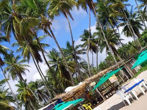 Photo of Others in Velha Boipeba