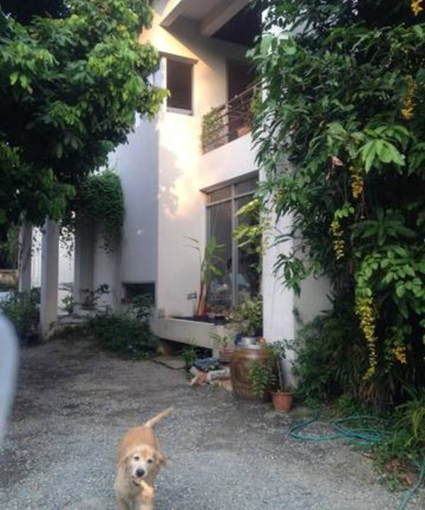 Photo of Others in Bangkok Yai