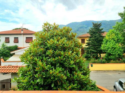 Photo of Others in San Giuliano Terme
