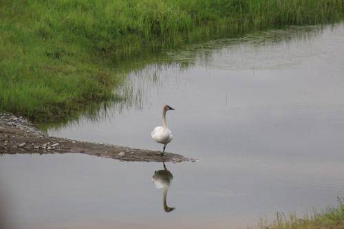 Photo of Others in Trapper Creek