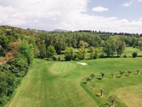 Photo of Others in San Martino Buon Albergo