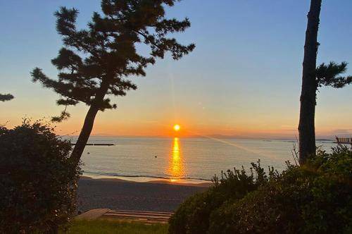 Photo of Others in Hayama