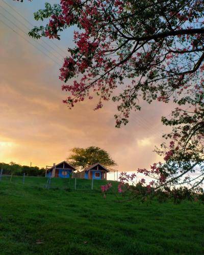 Photo of Others in Bueno Brandao