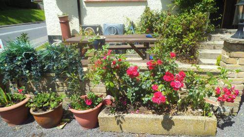 Photo of Others in Postcombe