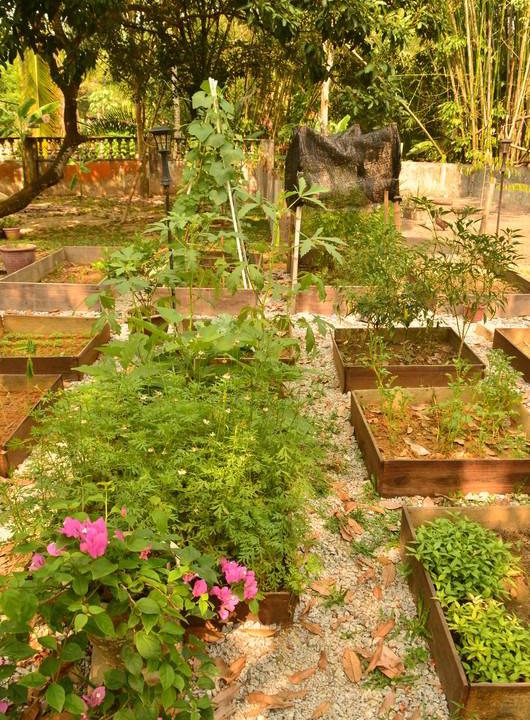Photo of Others in Kampung Pas Tumpang