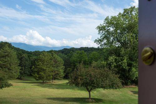 Photo of Others in Luray