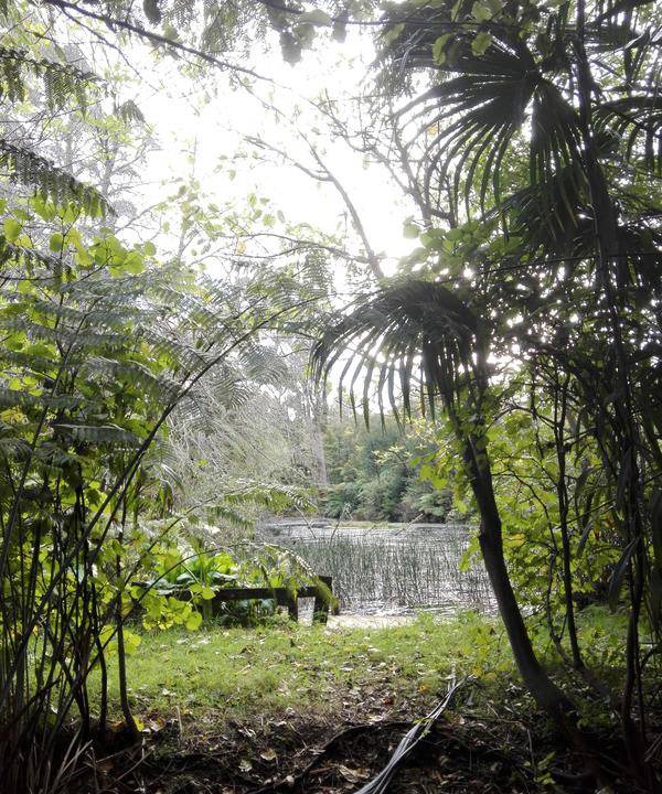 Photo of Others in Katikati