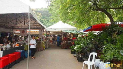 Photo of Others in Legazpi Village