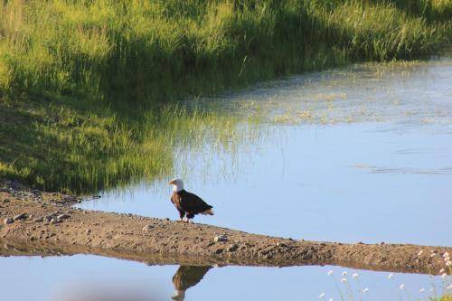 Photo of Others in Trapper Creek