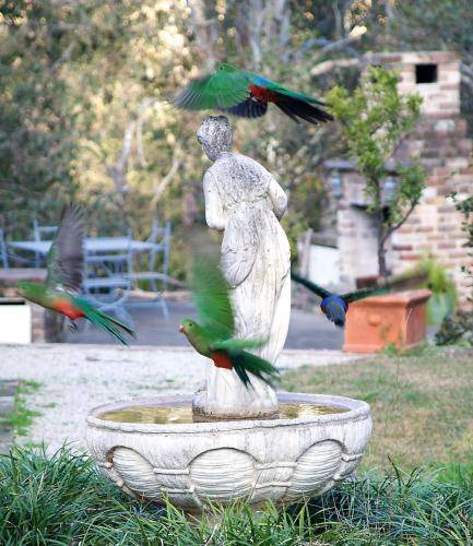 Photo of Others in Kurrajong