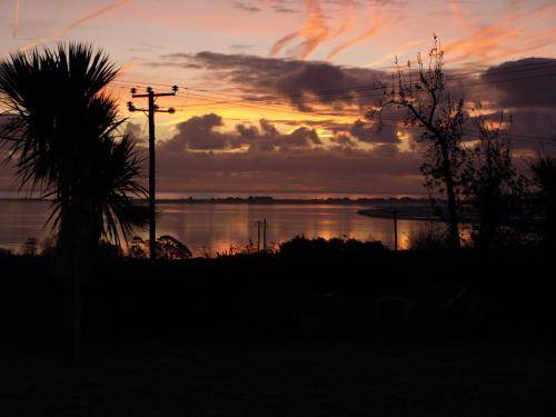 Photo of Others in Wexford